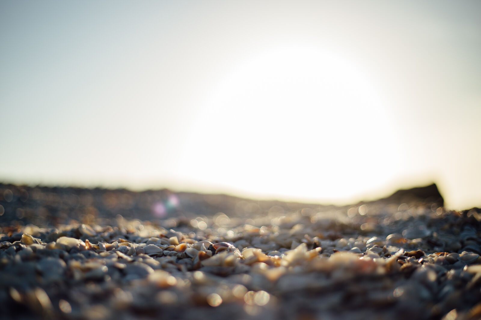 Canon EOS 6D + Canon EF 50mm F1.8 STM sample photo. Sunset, beach, shells photography