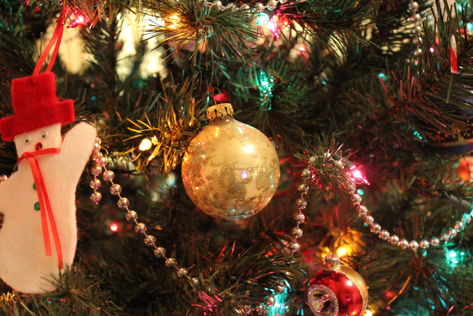 Canon EOS 600D (Rebel EOS T3i / EOS Kiss X5) sample photo. Christmas, lights, christmas lights photography
