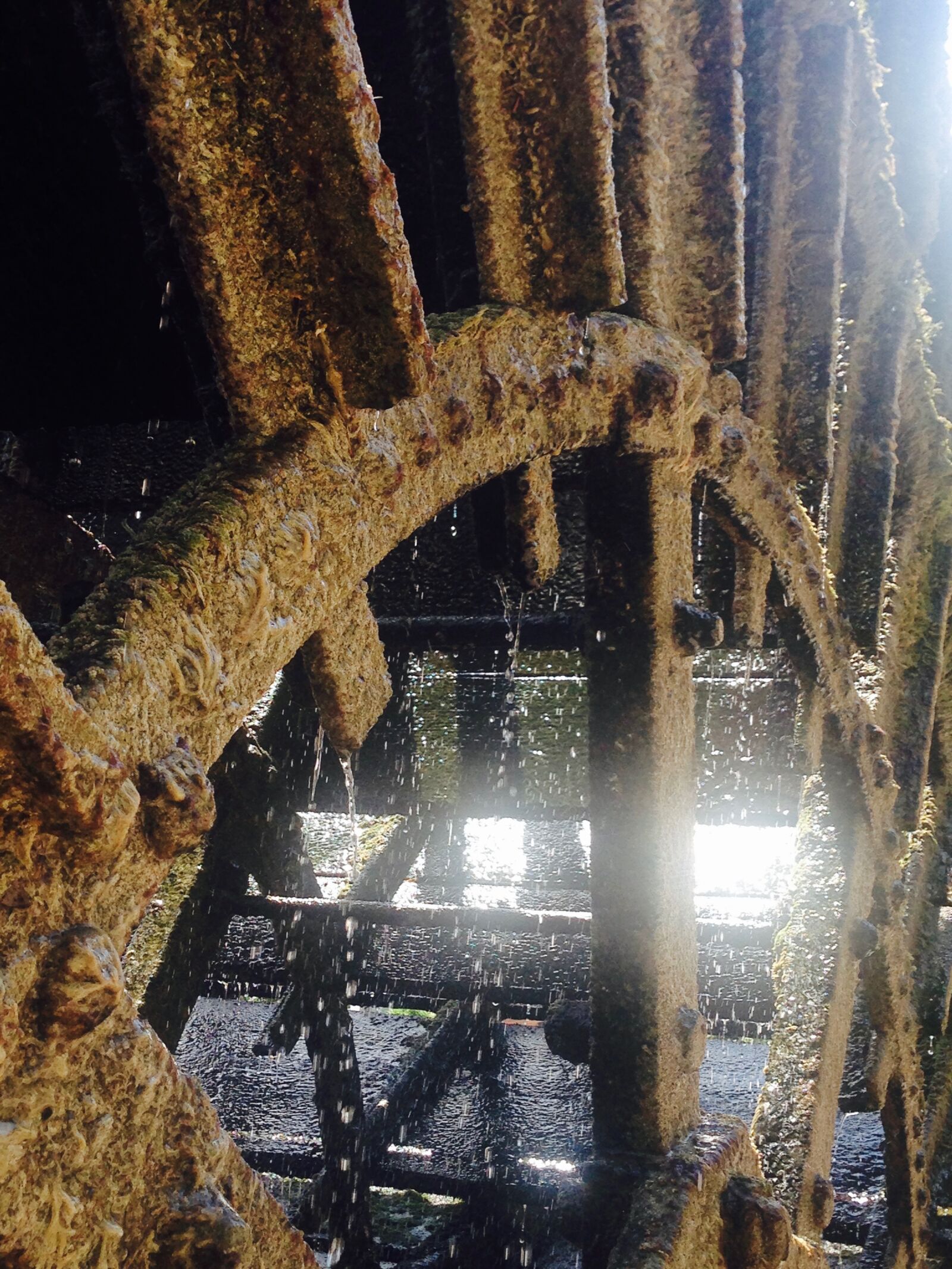 iPhone 5c back camera 4.12mm f/2.4 sample photo. Water, river, mill photography