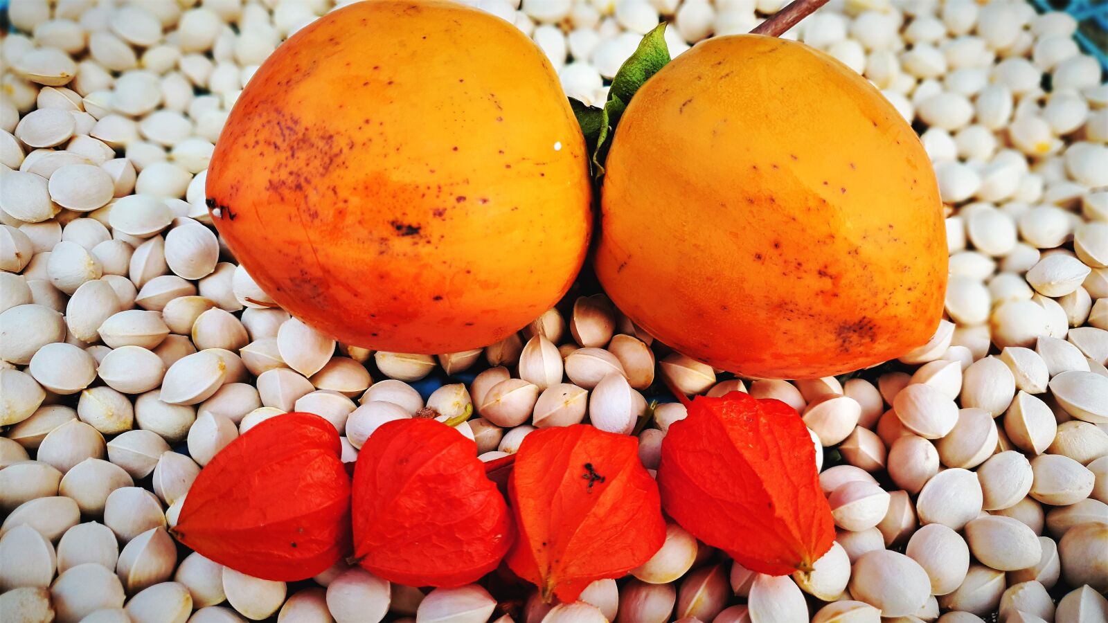 Samsung Galaxy S9 sample photo. Autumn fruit, persimmon, bank photography