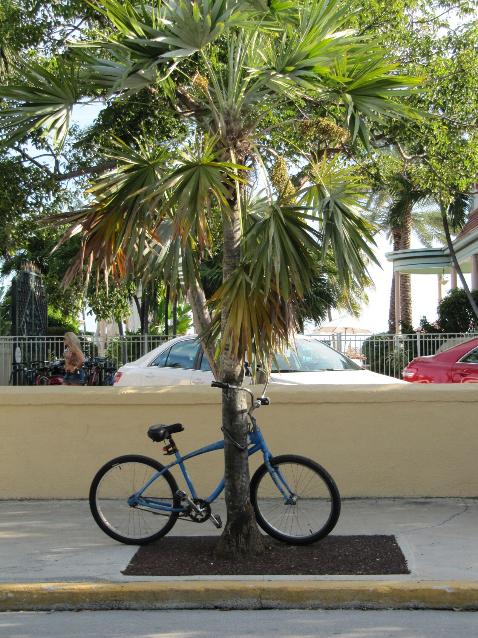 Canon PowerShot SX200 IS sample photo. Key, west, bicycle photography