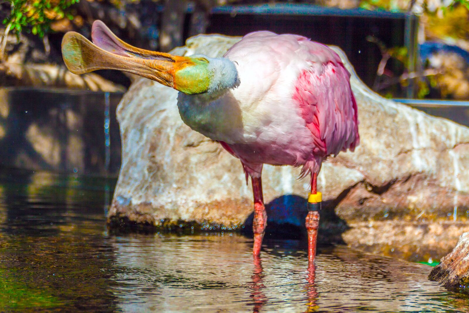 Canon EOS 50D sample photo. Spain, valencia, ozeaneum photography