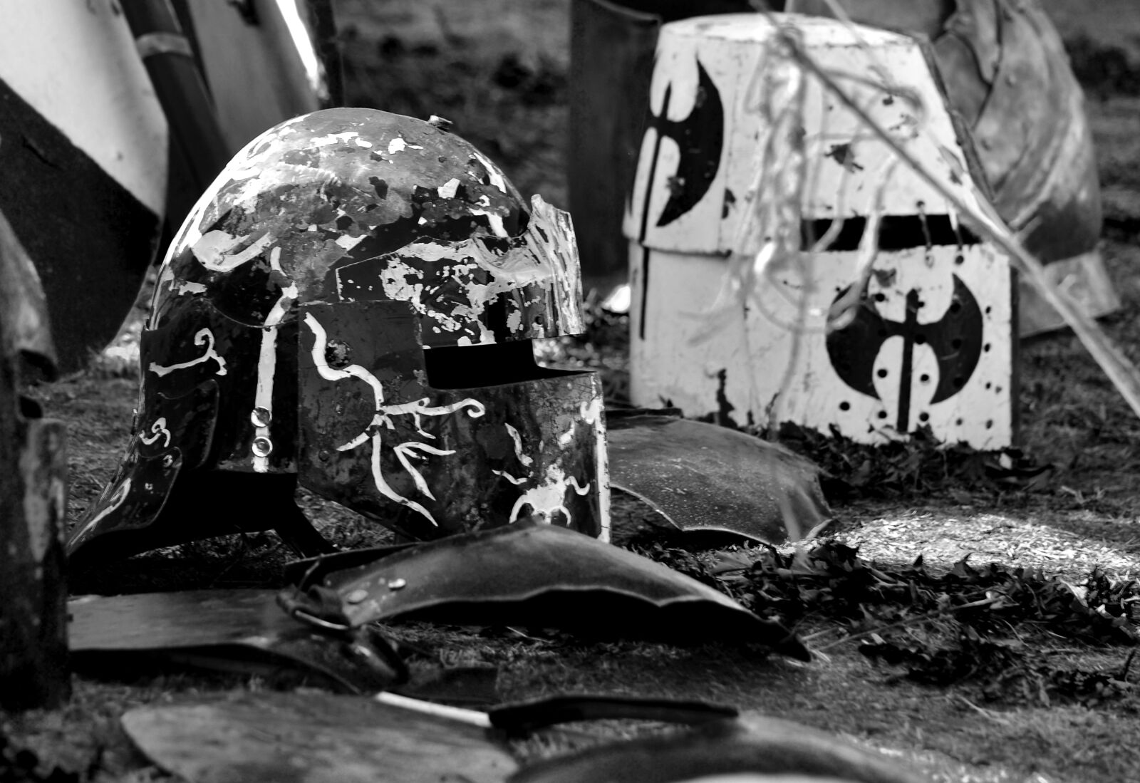 Nikon D3100 sample photo. Coat, of, arms, fight photography