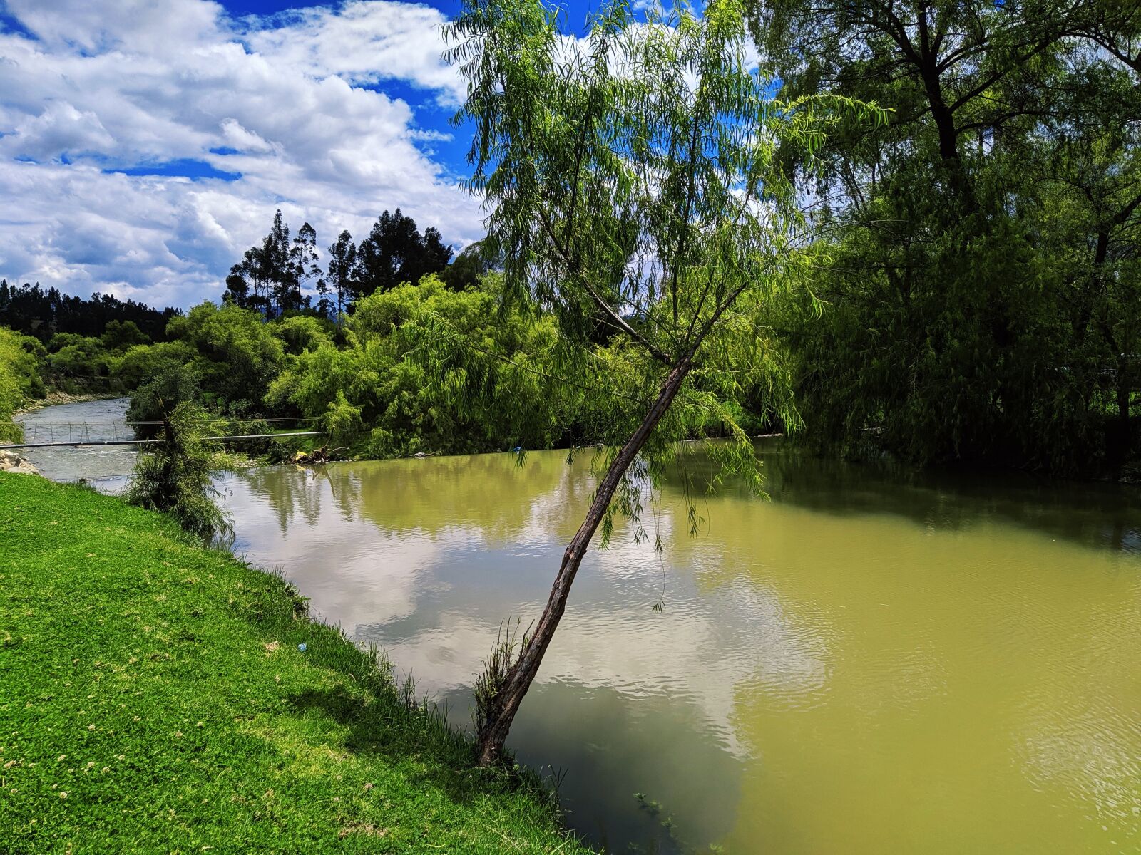 Xiaomi Redmi Note 7 sample photo. Landscape, nature, green photography