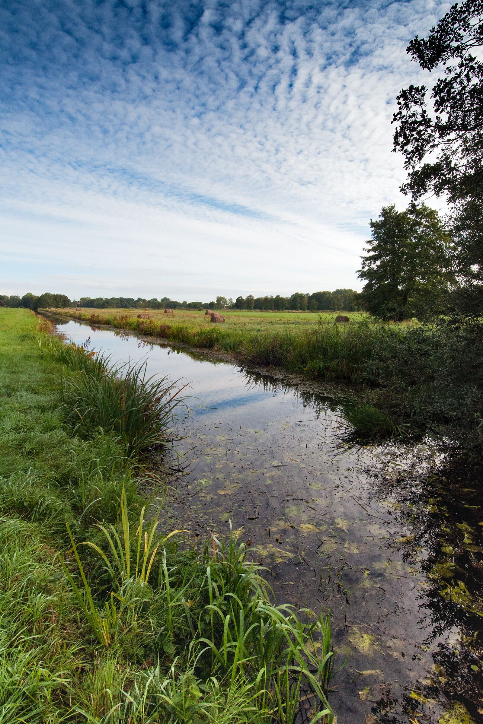 Nikon D90 sample photo. Blockland, bremen, northern germany photography