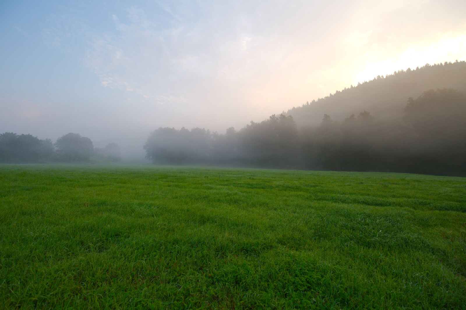 Canon EOS 6D sample photo. Grass, nature, panorama photography