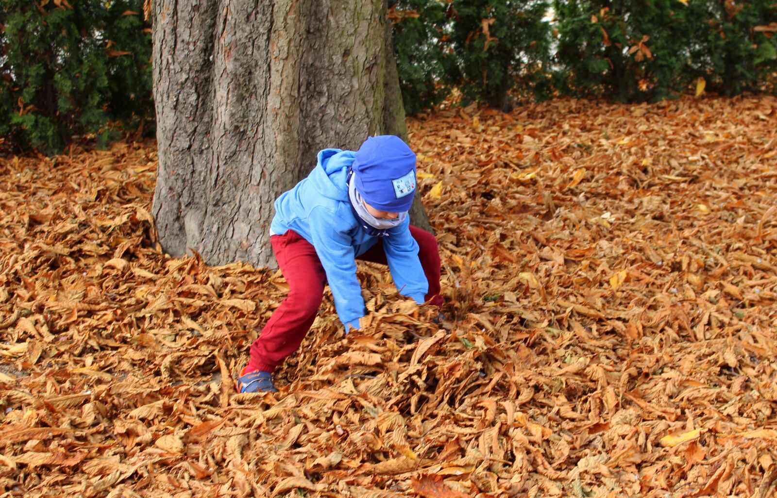 Canon EOS 1200D (EOS Rebel T5 / EOS Kiss X70 / EOS Hi) sample photo. Autumn, foliage, child photography