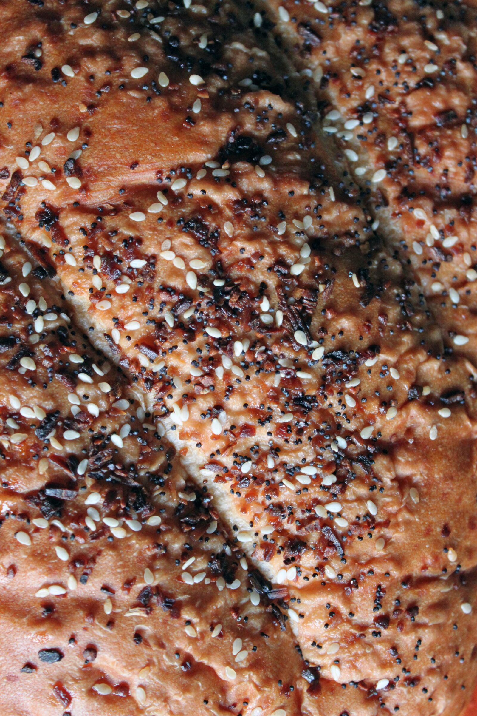 Canon EOS 500D (EOS Rebel T1i / EOS Kiss X3) sample photo. Bread, bakery, sesame seed photography
