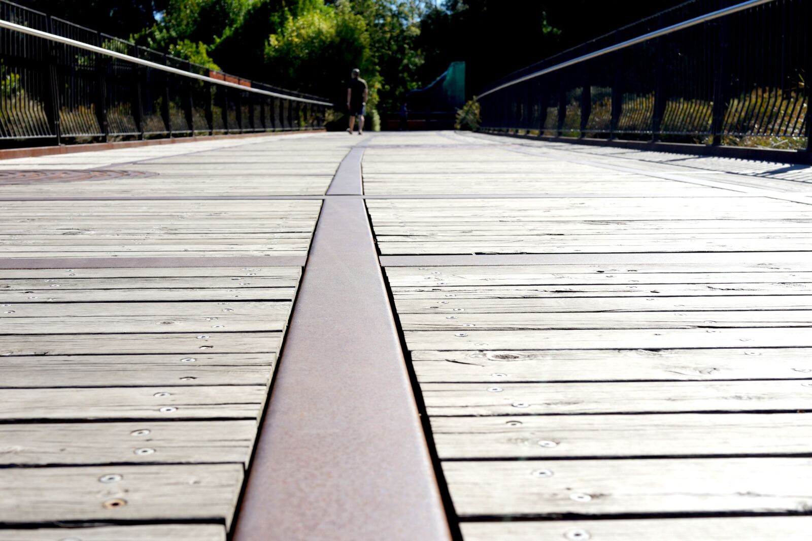 Sony Cyber-shot DSC-RX1R sample photo. Pathway, solutions, success photography