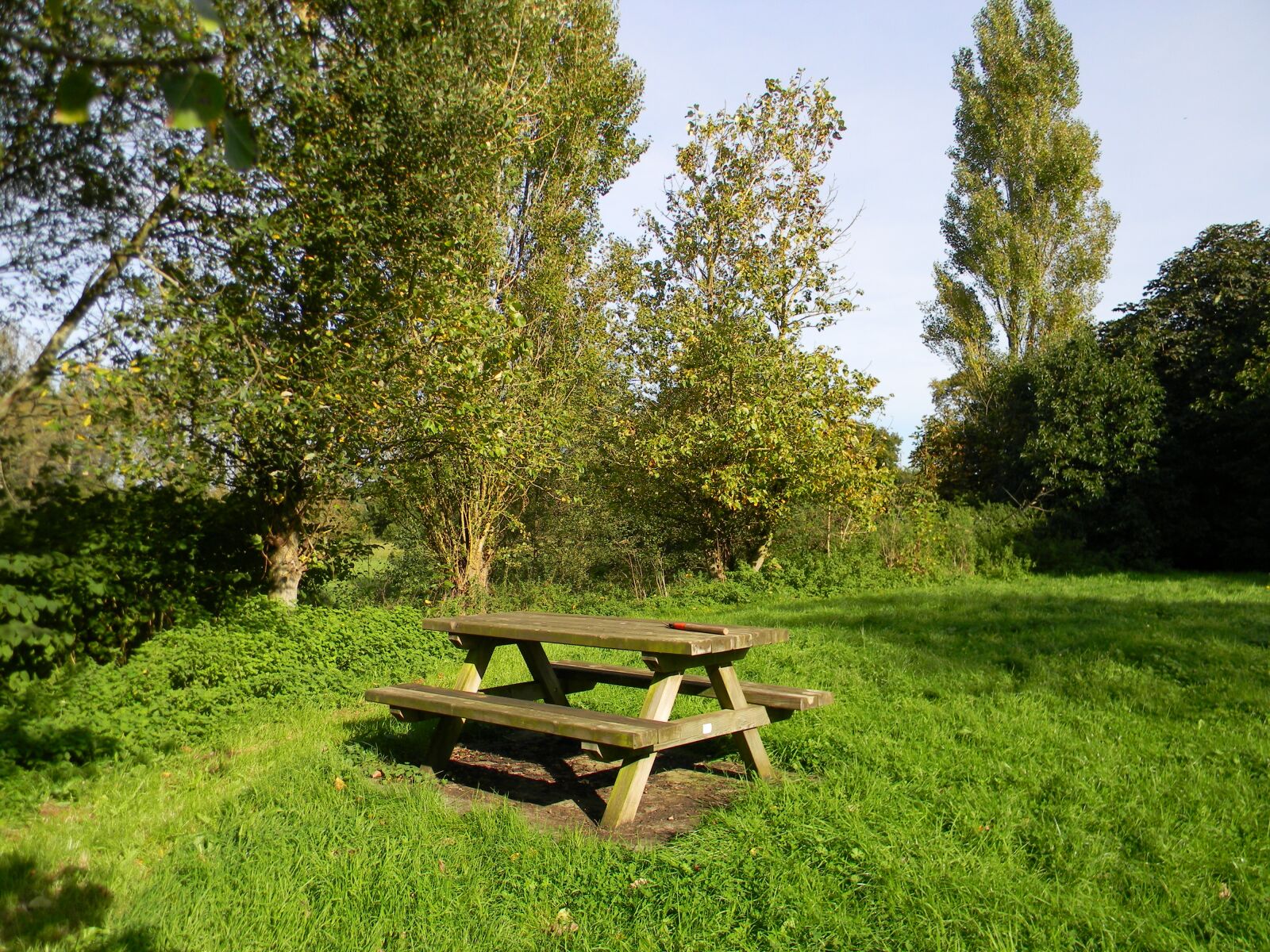 Nikon Coolpix L110 sample photo. Table, field, picnic table photography