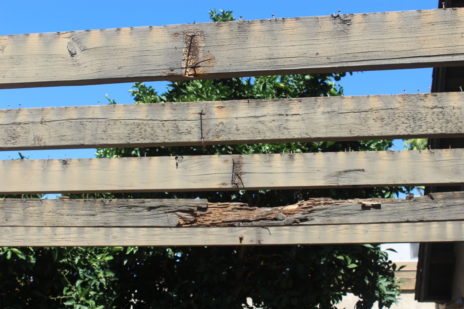 Canon EOS 1200D (EOS Rebel T5 / EOS Kiss X70 / EOS Hi) sample photo. Construction, wood, wooden photography
