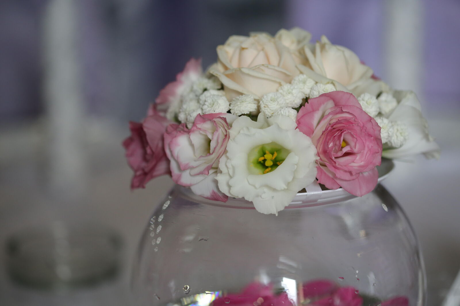 Canon EF 100mm F2.8 Macro USM sample photo. Glass, elegance, crystal, bowl photography