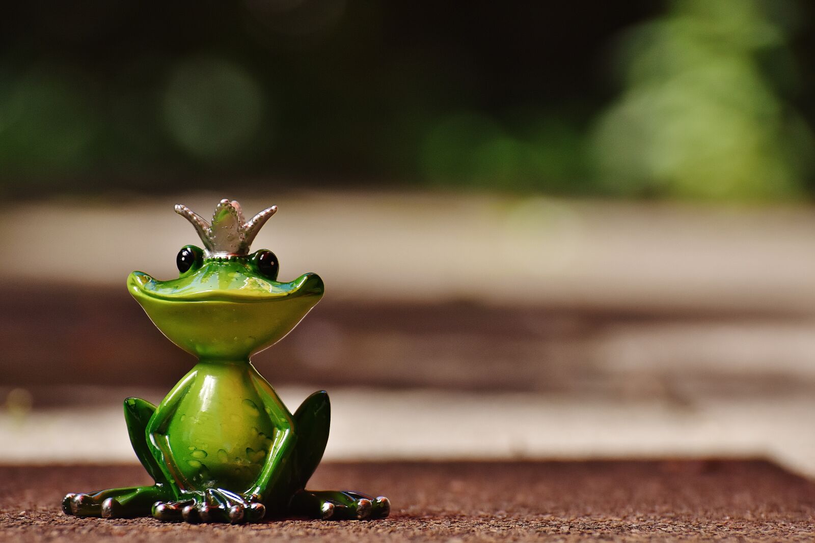 Nikon D7200 sample photo. Frog, frog prince, crown photography