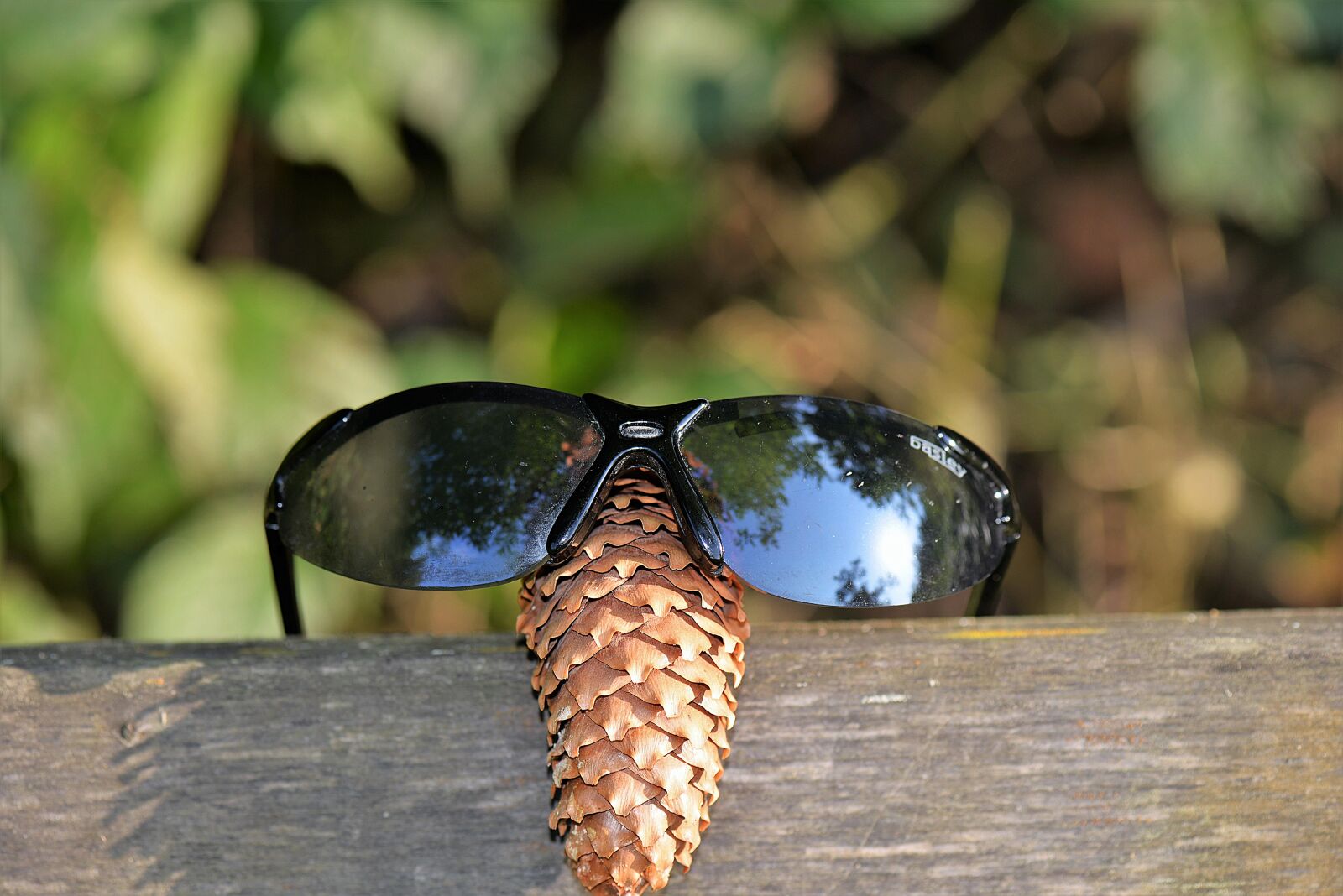 Nikon D610 sample photo. Sunglasses, tap, funny photography