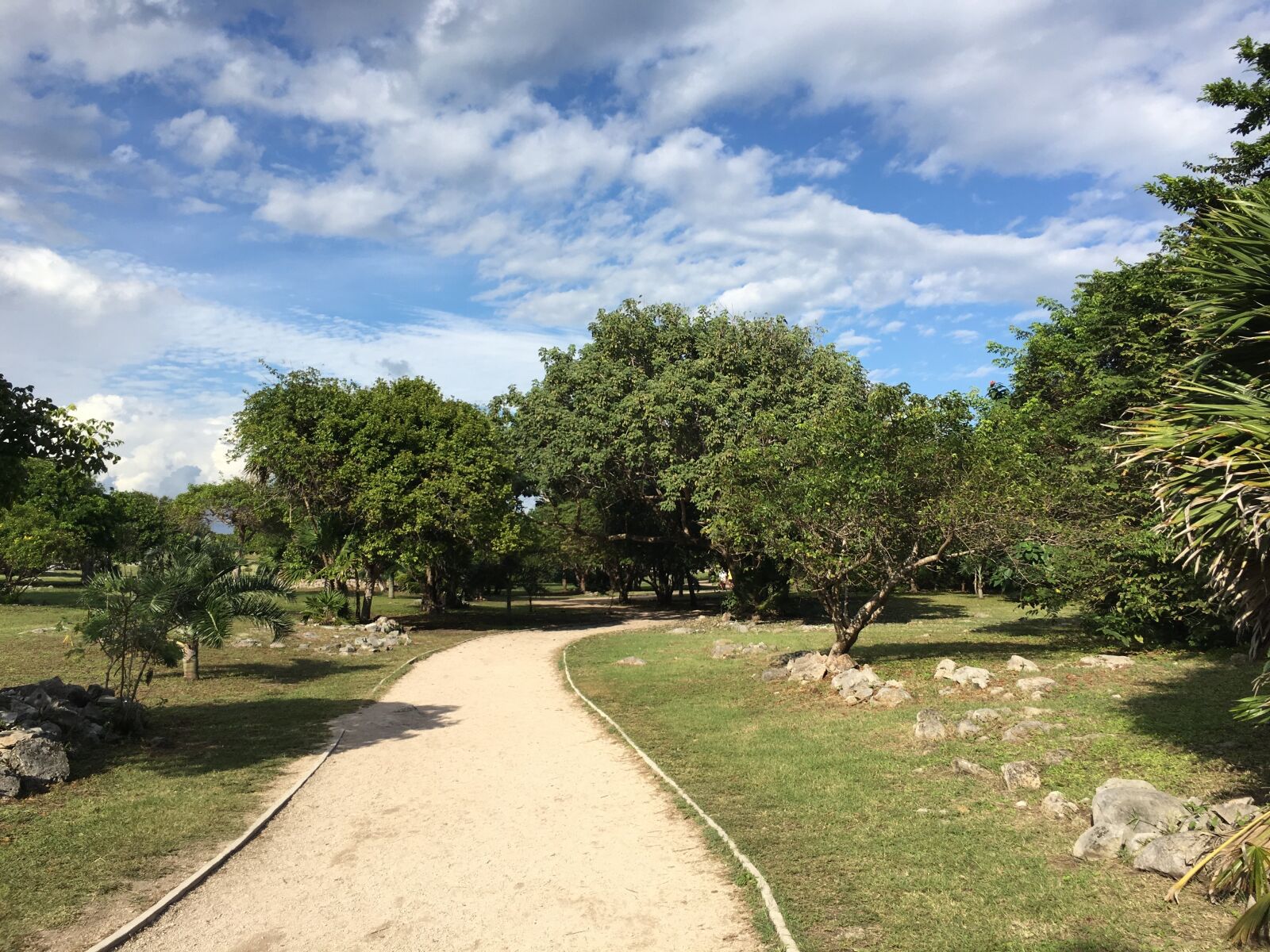 Apple iPhone 6s sample photo. Nature, path, trees photography