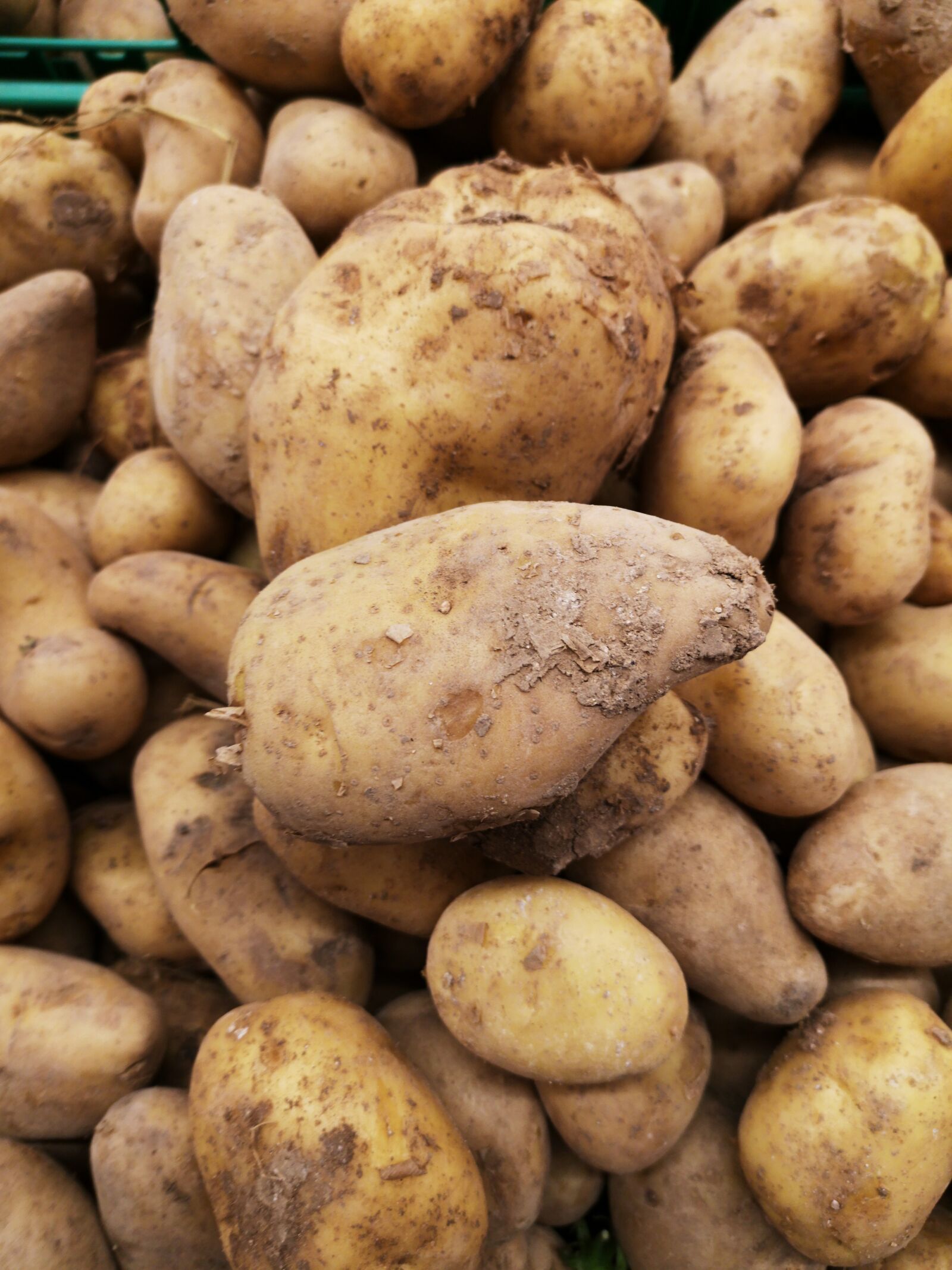 HUAWEI CLT-L09 sample photo. Potato, vegetable, food photography