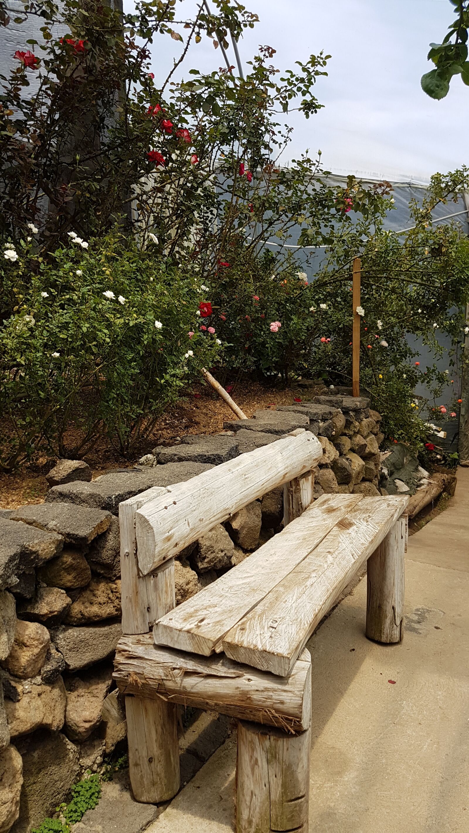 Samsung Galaxy S7 sample photo. Bench, walk, path photography