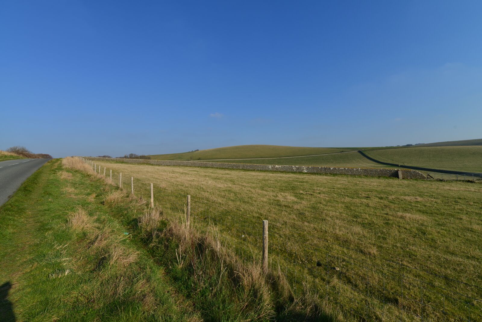 Nikon D800 sample photo. Field, meadow, green photography