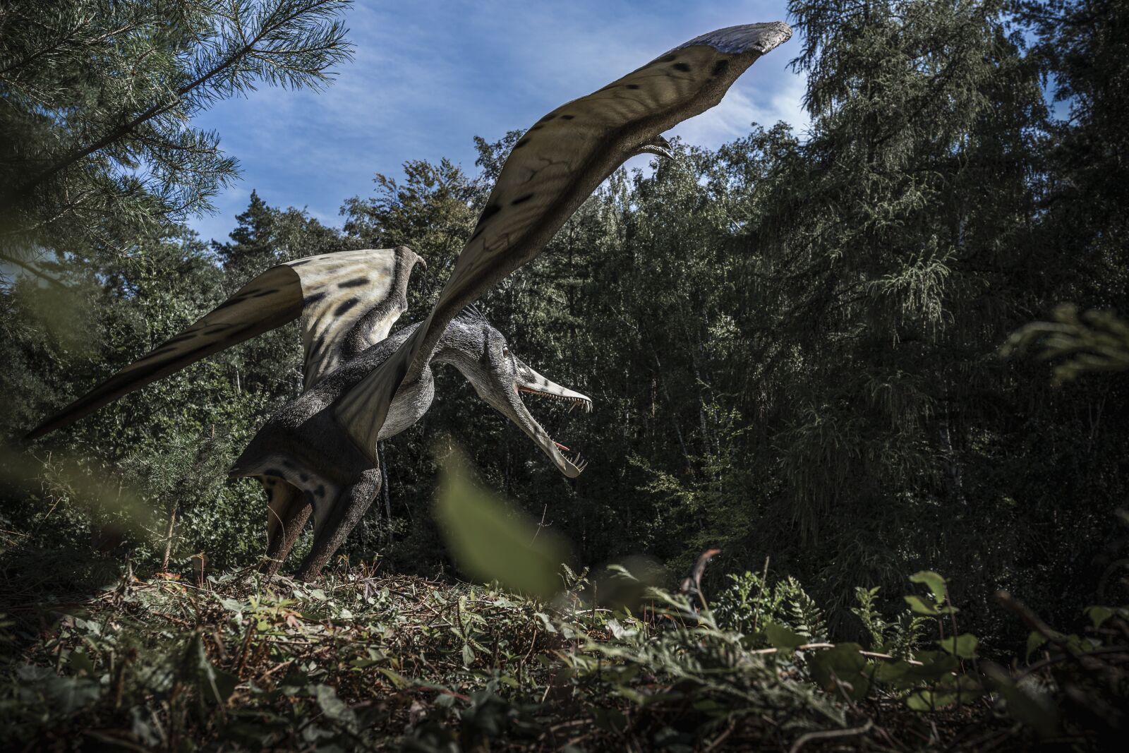 Sony a7 III + Sigma 35mm F1.4 DG HSM Art sample photo. Dinosaur, pterosaur, dinopark photography