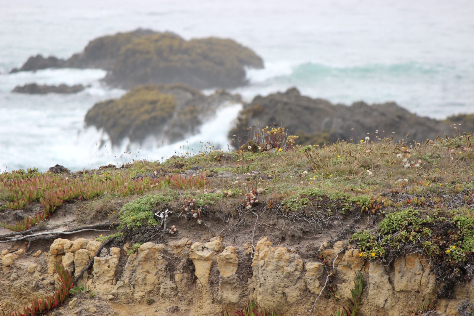 Canon EOS 600D (Rebel EOS T3i / EOS Kiss X5) sample photo. Ocean, cliff, sea photography