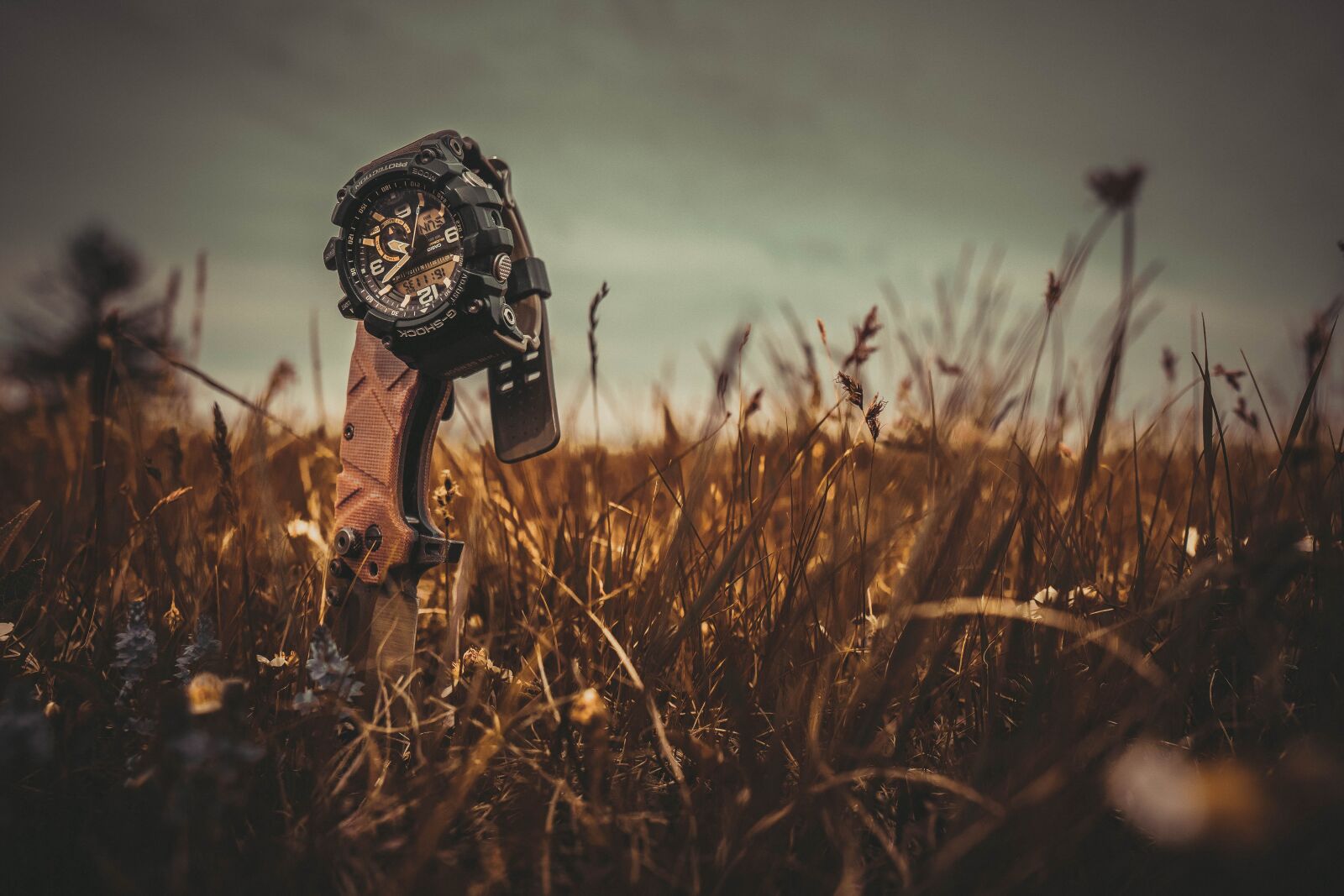 Sony a6400 + Sigma 16mm F1.4 DC DN | C sample photo. Knife, nature, green photography