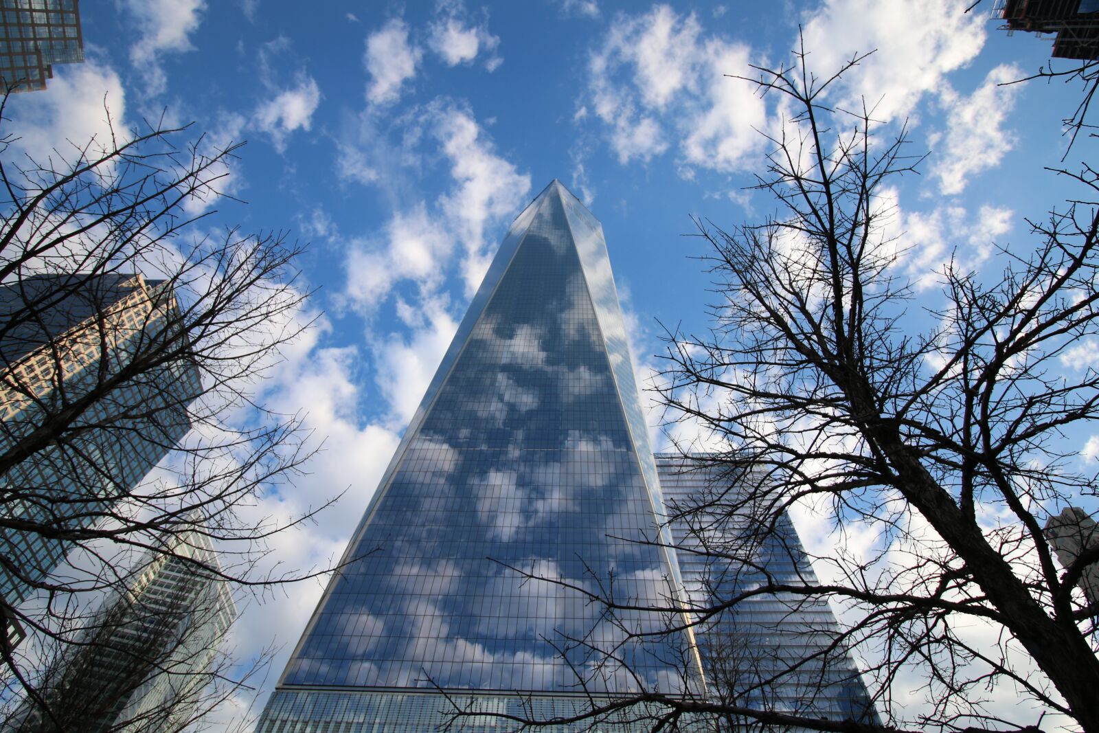 Canon EOS 70D sample photo. Seagull, one world centre photography
