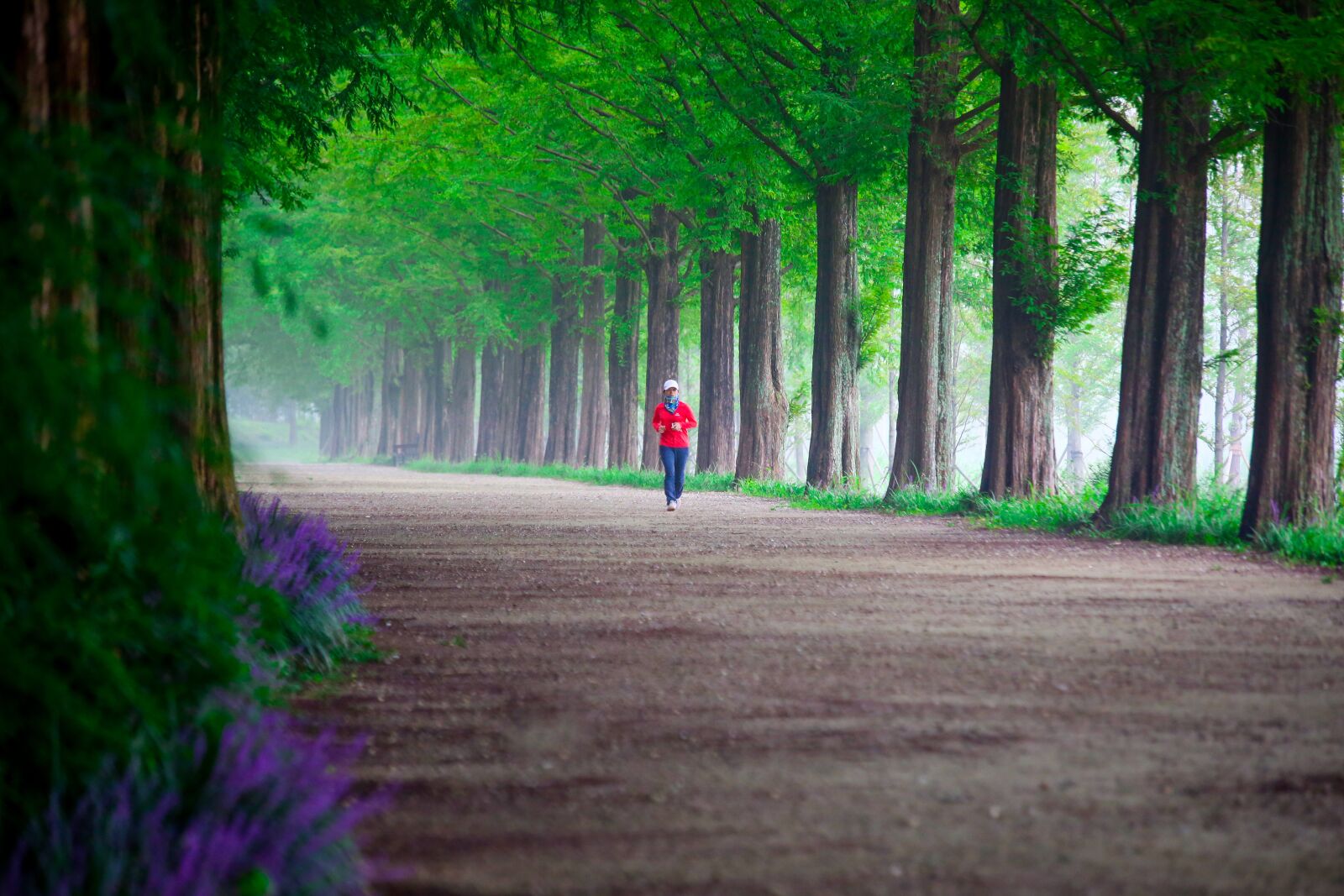 Canon EF 70-300mm F4-5.6 IS USM sample photo. Wood, nature, road photography