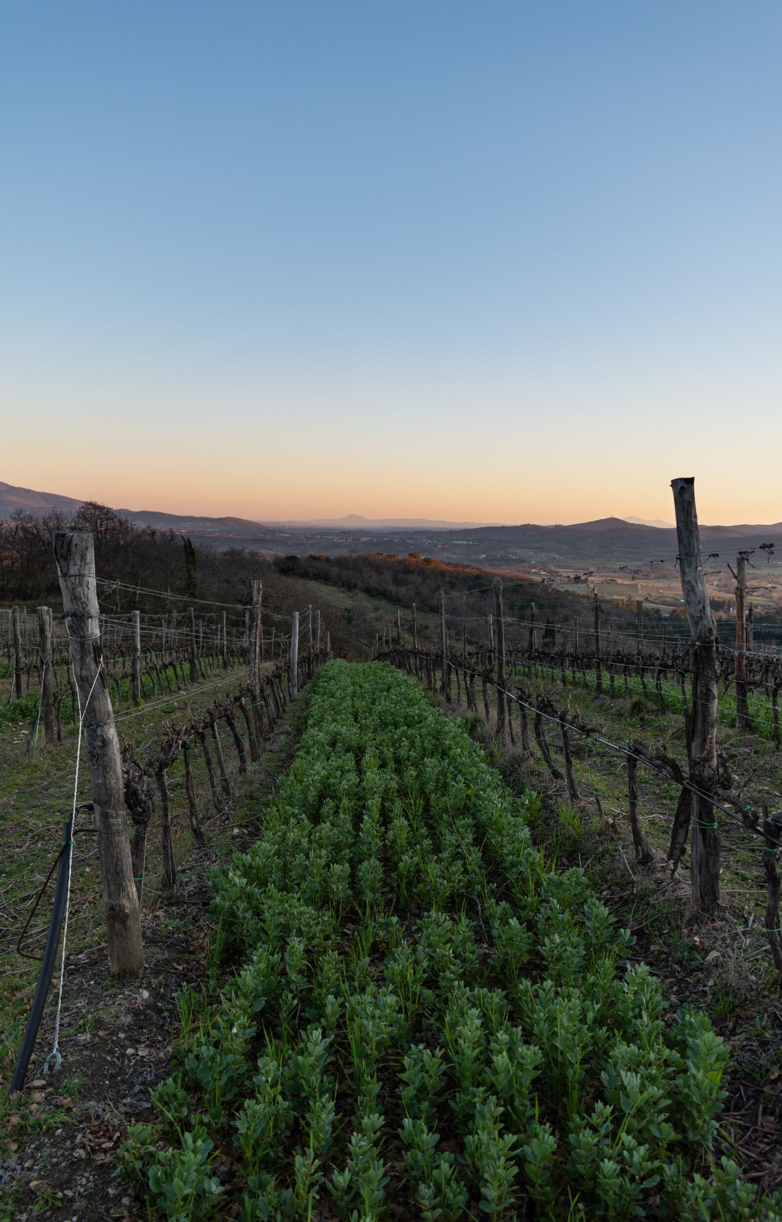 Nikon D5600 sample photo. Tuscany, countryside, hills photography