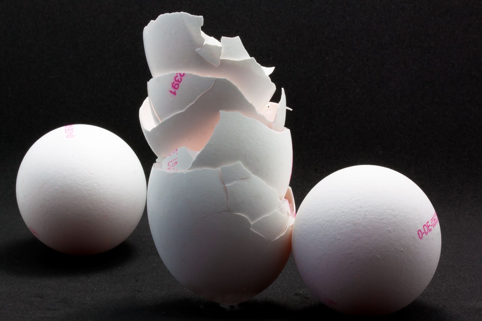 Canon EOS 50D sample photo. Egg, shell, eggshell photography