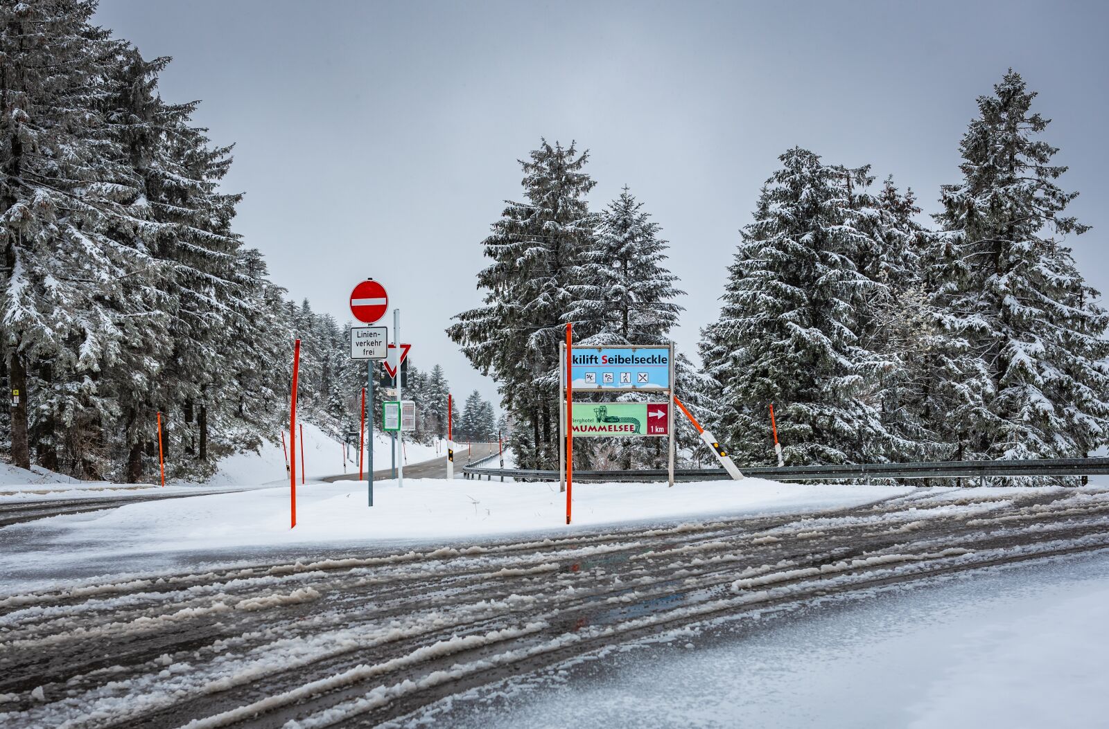 Nikon D750 sample photo. Black forest, winter blast photography