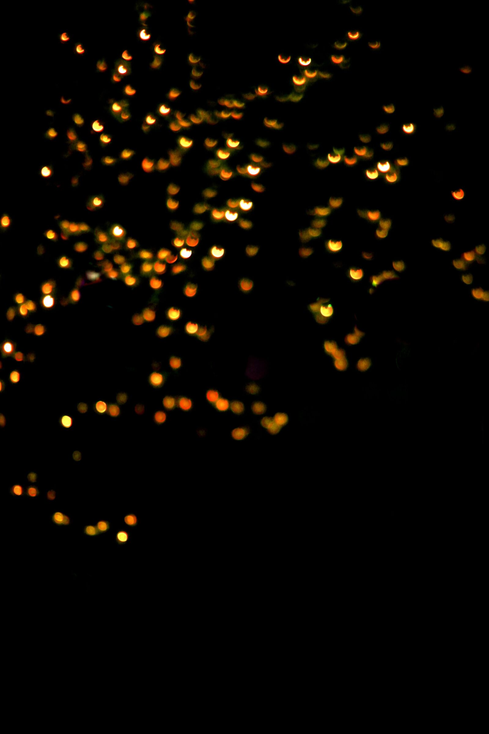 Canon EOS 550D (EOS Rebel T2i / EOS Kiss X4) sample photo. Abstract, wallpaper, background photography