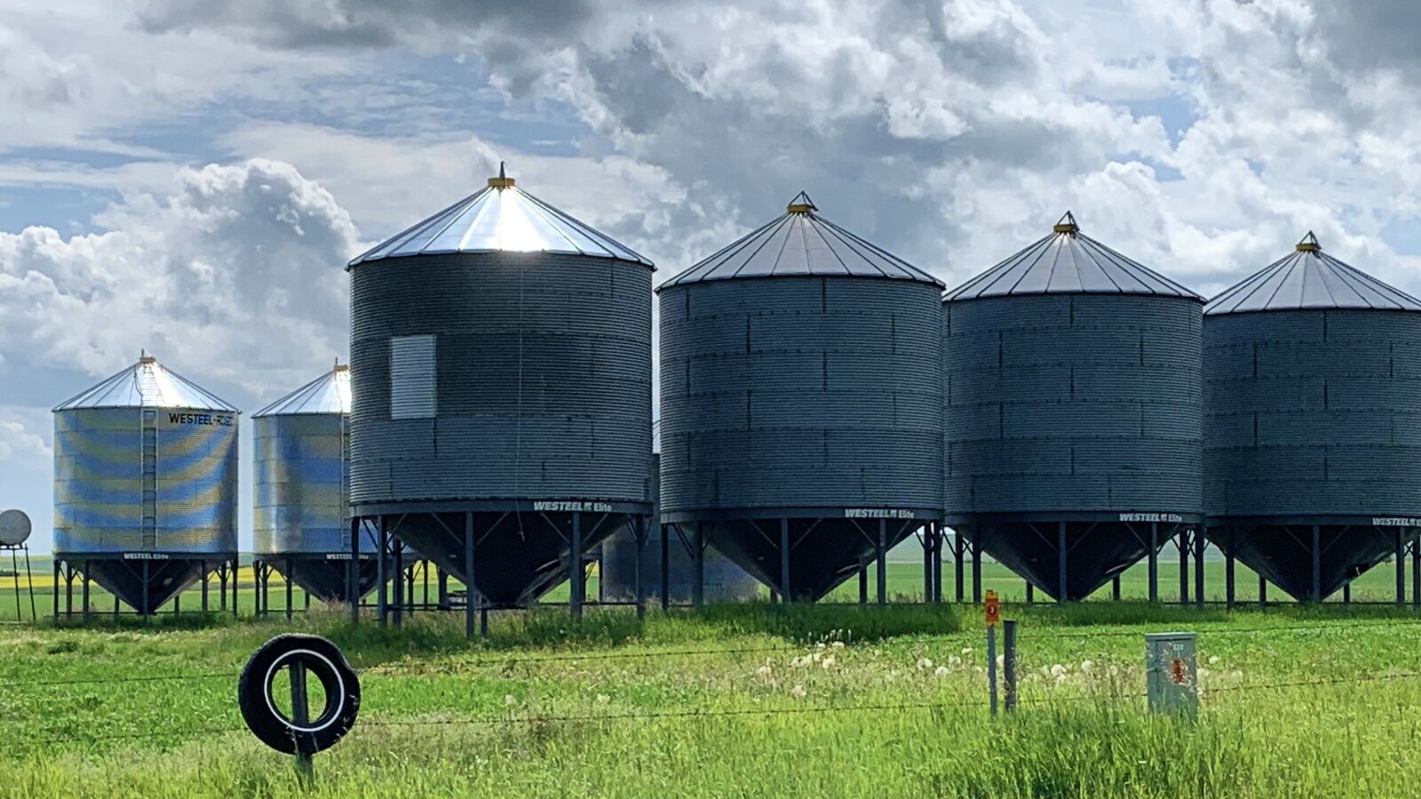 Apple iPhone XR sample photo. Grain, wheat, farm photography