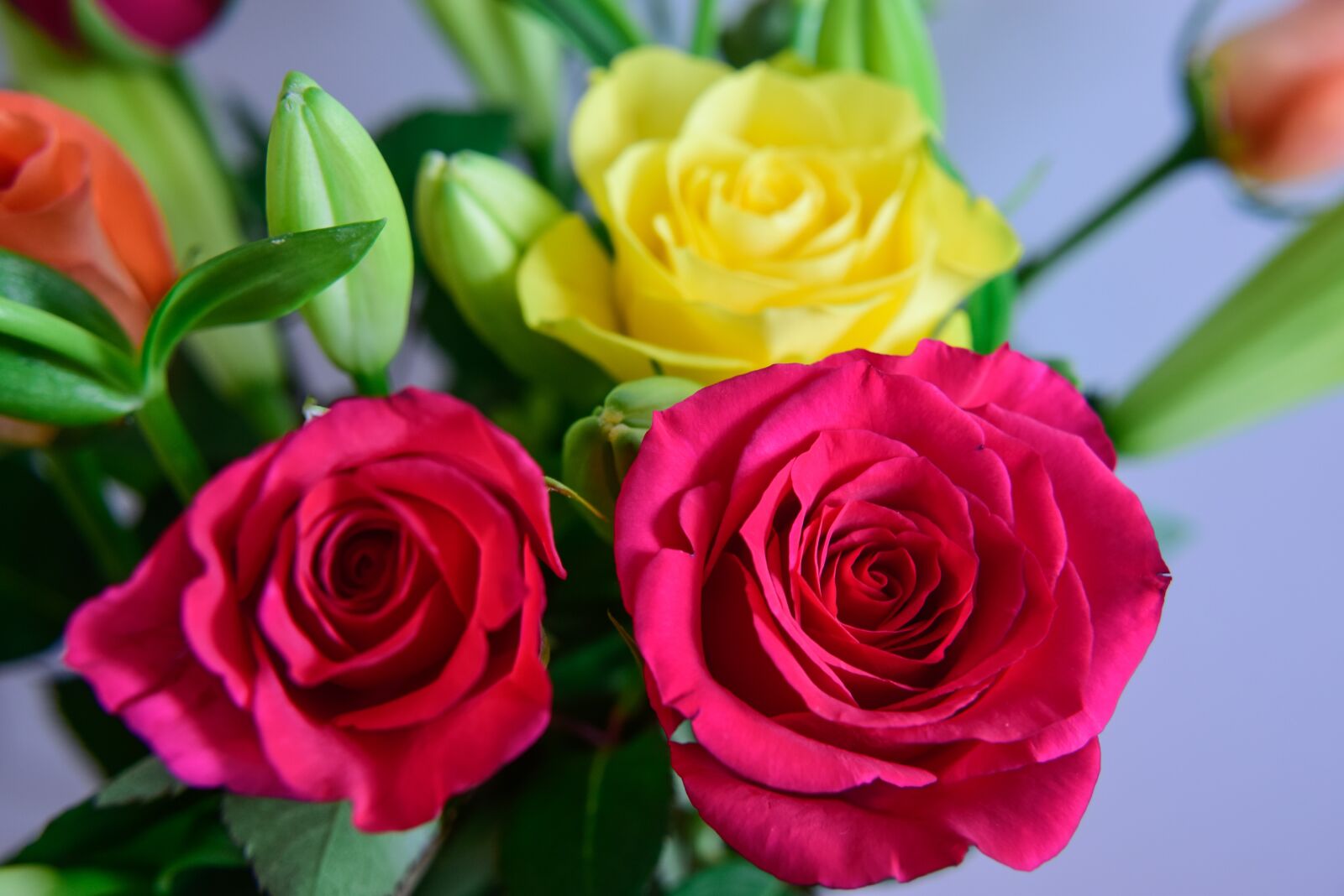 Nikon D5300 sample photo. Flowers, roses, bunch of photography
