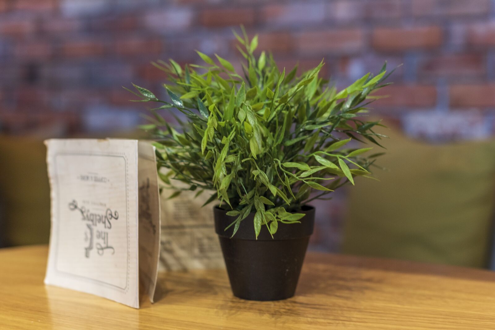 Nikon D750 sample photo. Flower pot, light, plant photography