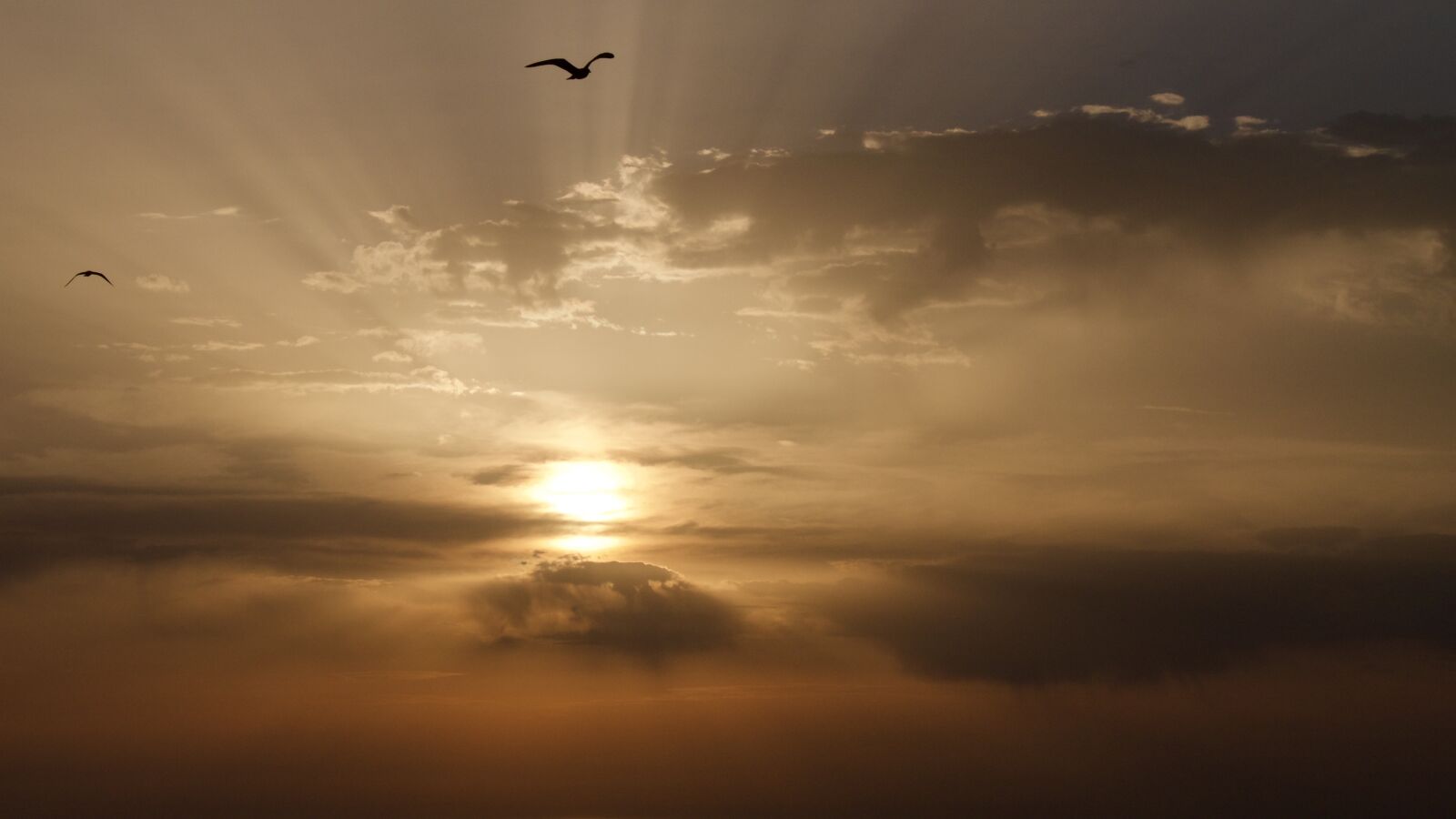 Panasonic Lumix DMC-G6 sample photo. Sunset, sun, dawn photography