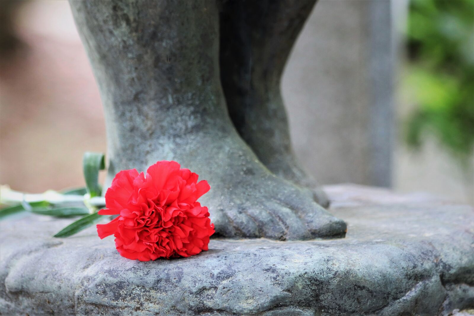 Canon EOS 200D (EOS Rebel SL2 / EOS Kiss X9) + Canon EF 70-300mm F4-5.6 IS USM sample photo. Sculpture, feet, red carnation photography