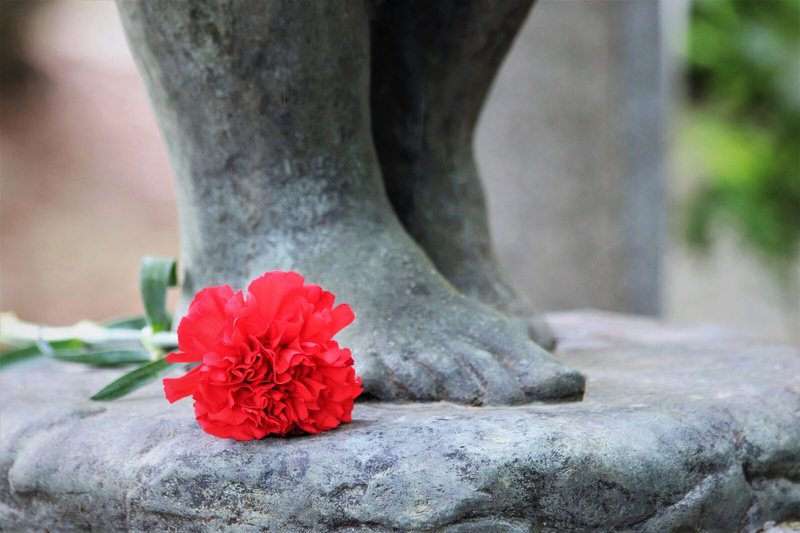 Canon EOS 200D (EOS Rebel SL2 / EOS Kiss X9) sample photo. Sculpture, feet, red carnation photography