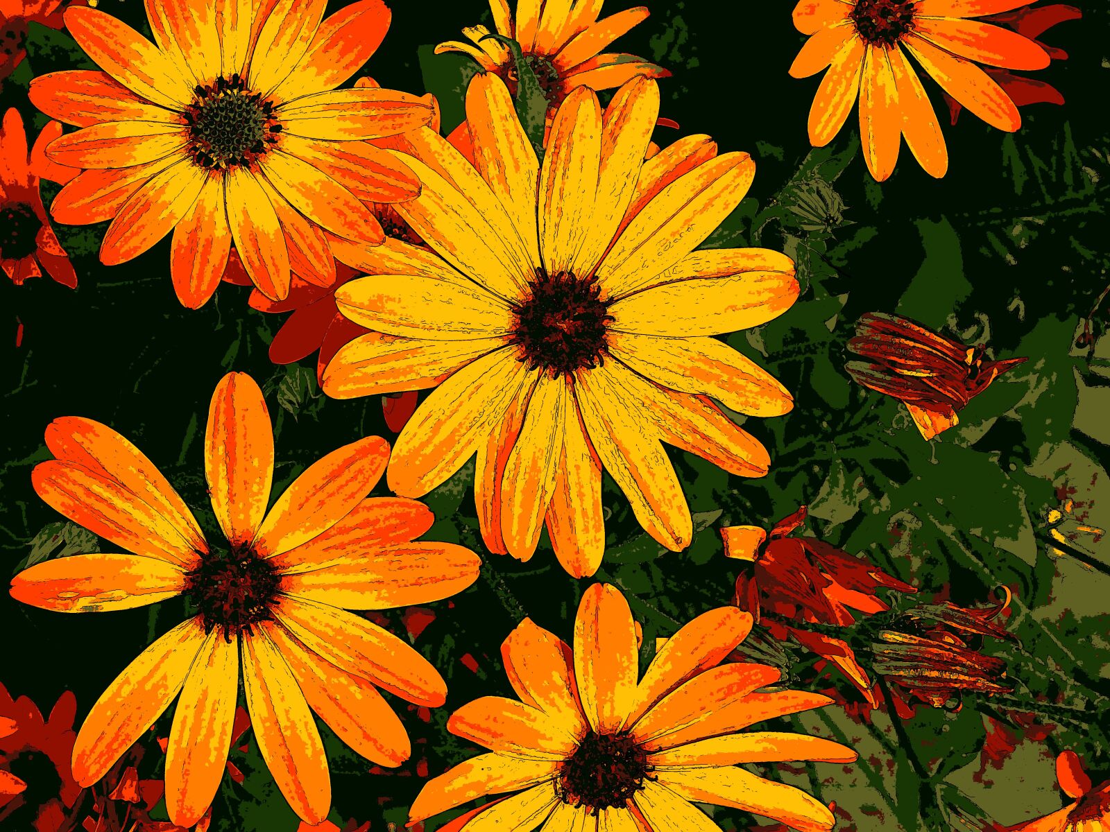 Sony Cyber-shot DSC-HX90V sample photo. Flowers, plants, color orange photography