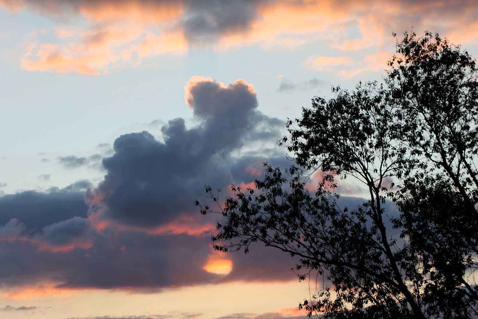 Canon EOS 500D (EOS Rebel T1i / EOS Kiss X3) sample photo. Evening, sunset, clouds photography