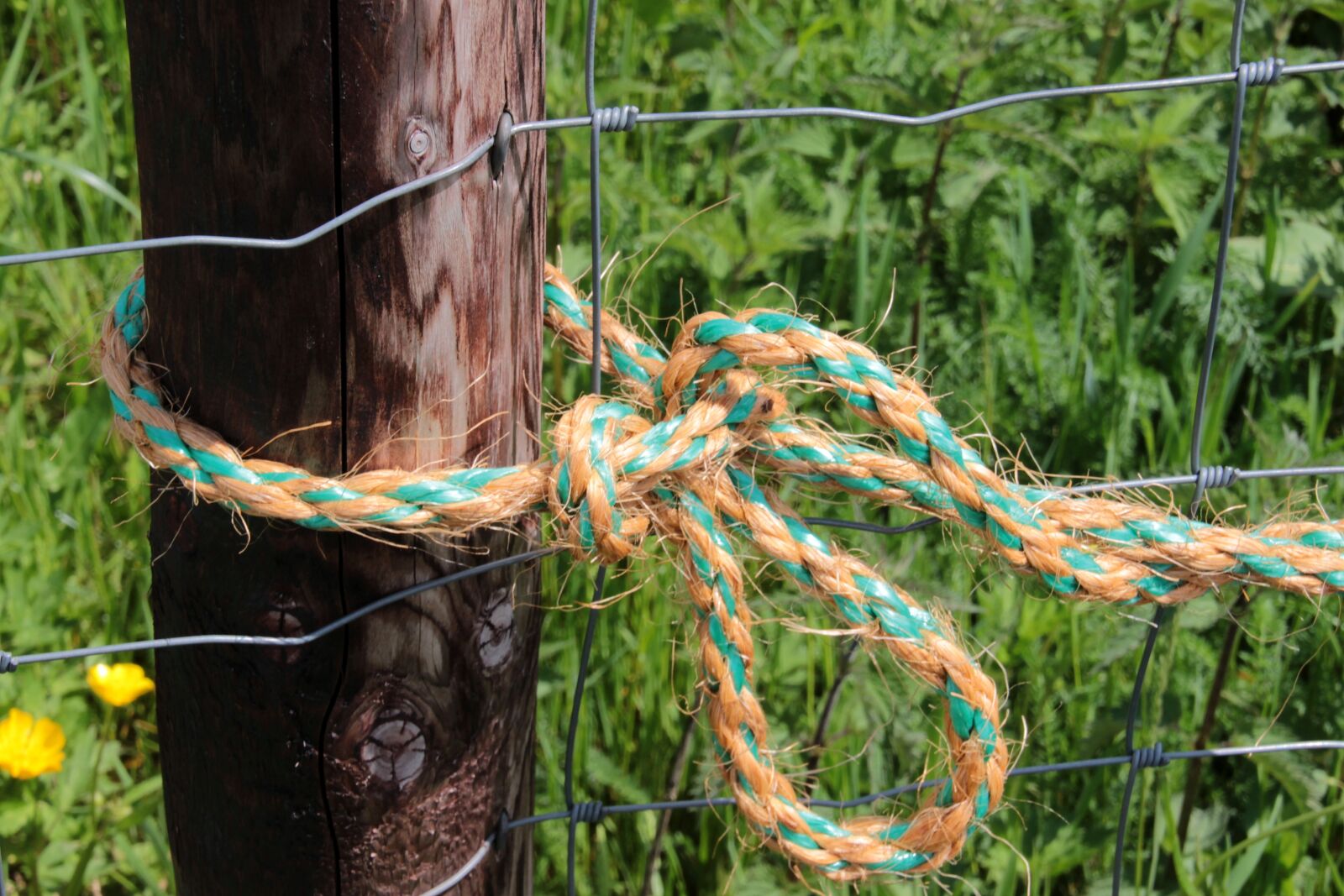 Canon EOS 650D (EOS Rebel T4i / EOS Kiss X6i) sample photo. Rope, woven, colorful photography