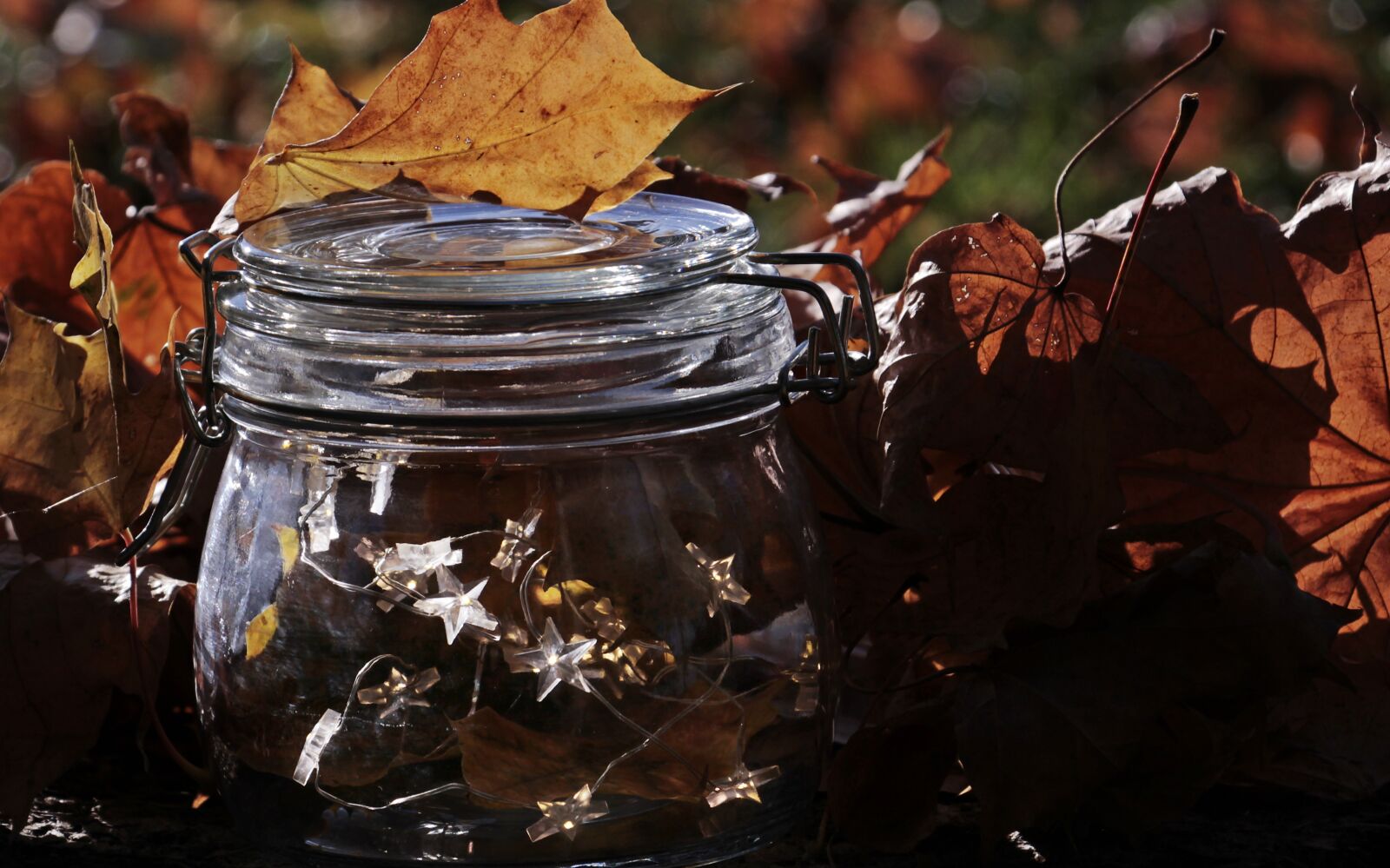 Canon EOS 100D (EOS Rebel SL1 / EOS Kiss X7) sample photo. Glass, lichterkette, fall foliage photography