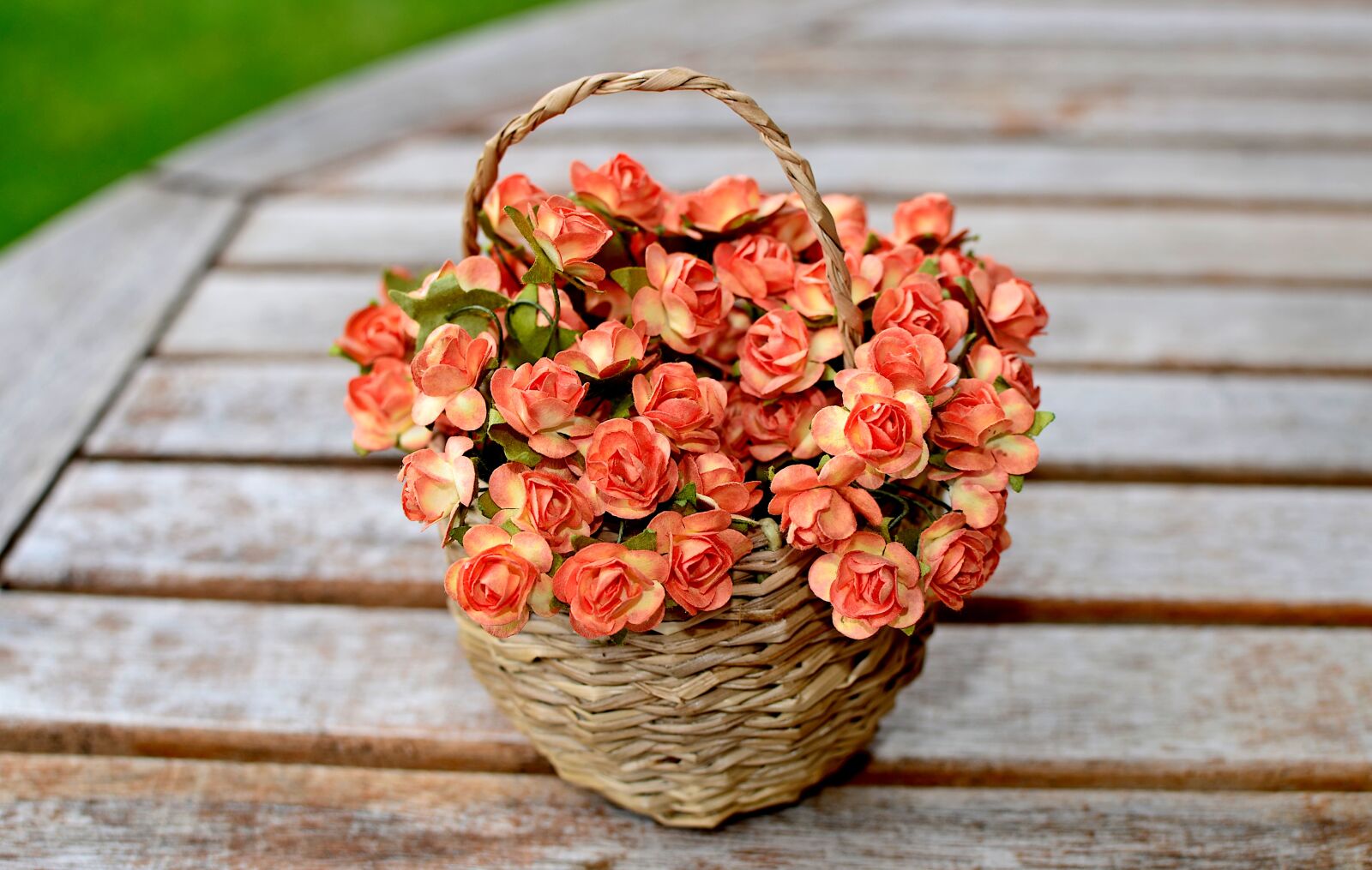 Nikon D7000 sample photo. Flowers, artificial flowers, rubella photography