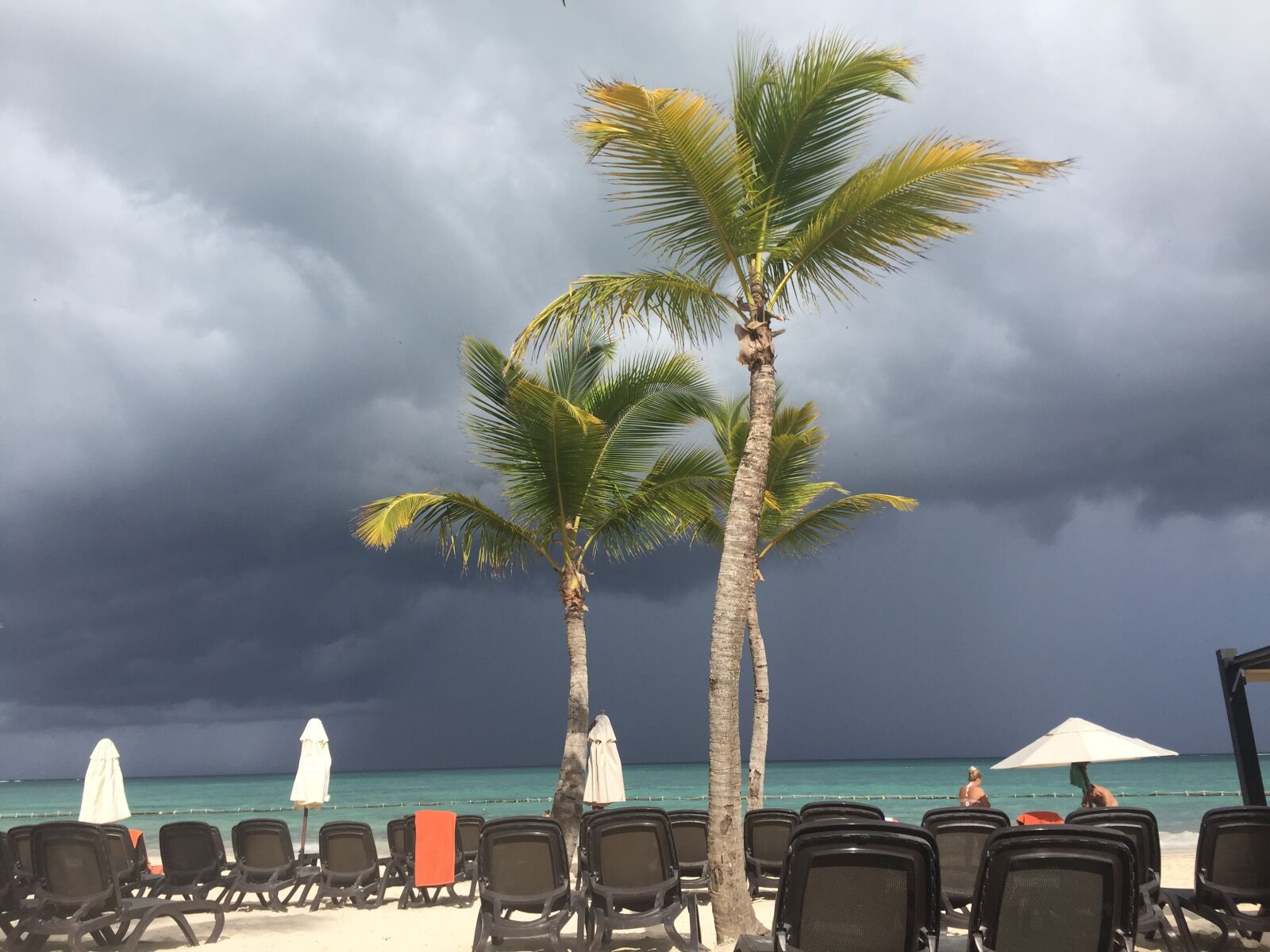 Apple iPhone 6 sample photo. Tropical, storm photography