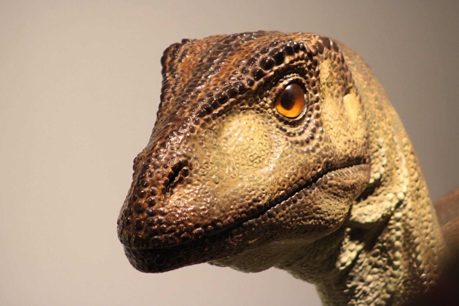 Canon EOS 2000D (EOS Rebel T7 / EOS Kiss X90 / EOS 1500D) sample photo. Dino, dinosaur, prehistoric times photography