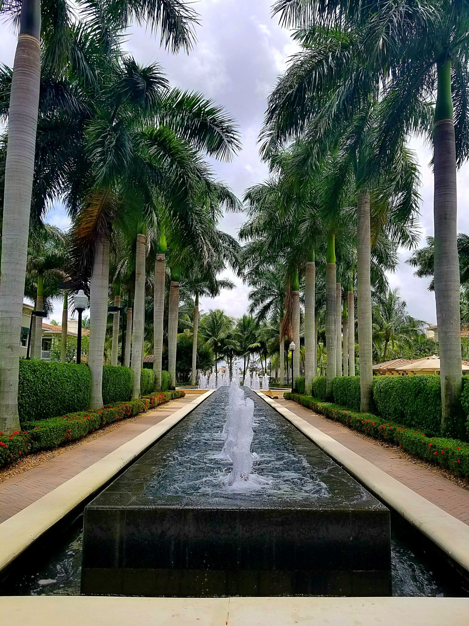 Samsung Galaxy S8 sample photo. Water, fountain, palms photography