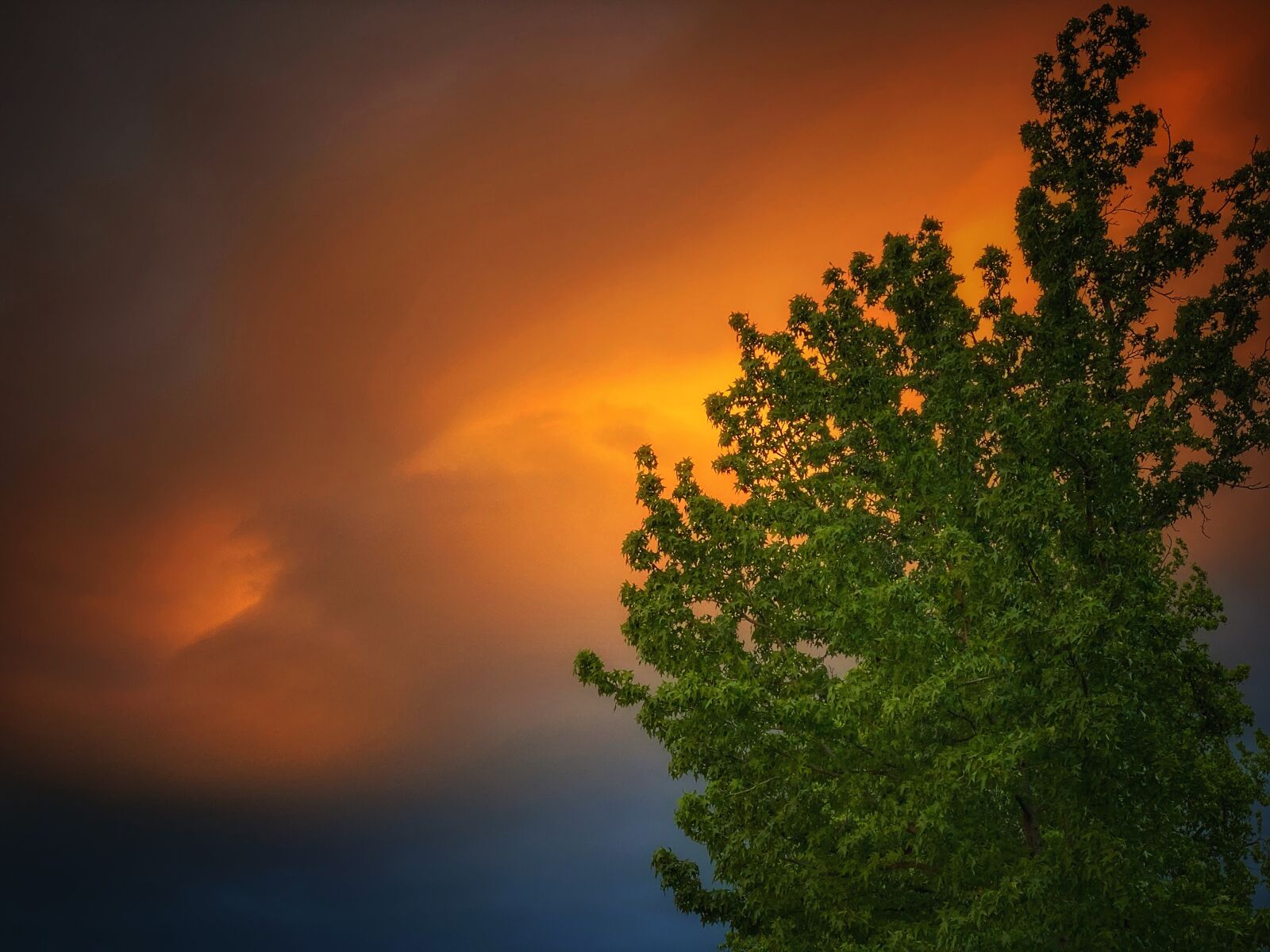 iPhone 11 Pro back triple camera 6mm f/2 sample photo. Evening, sunset, nature photography