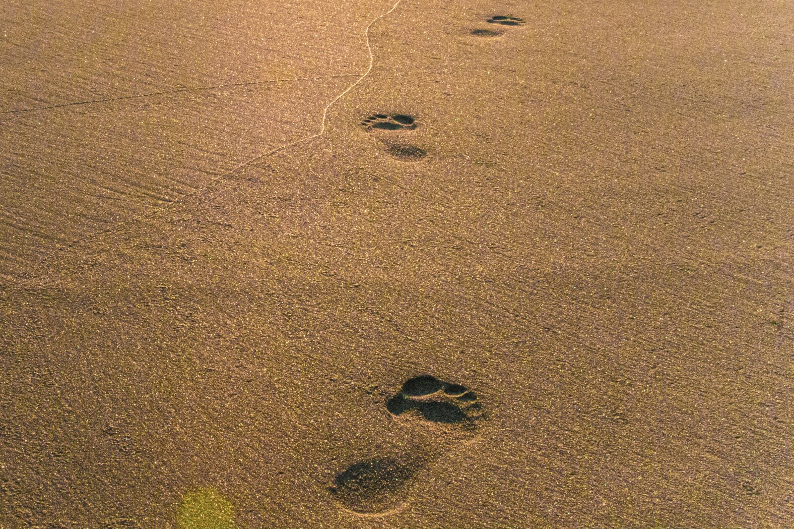 Canon EOS 1300D (EOS Rebel T6 / EOS Kiss X80) sample photo. Sand, footprints, sea photography