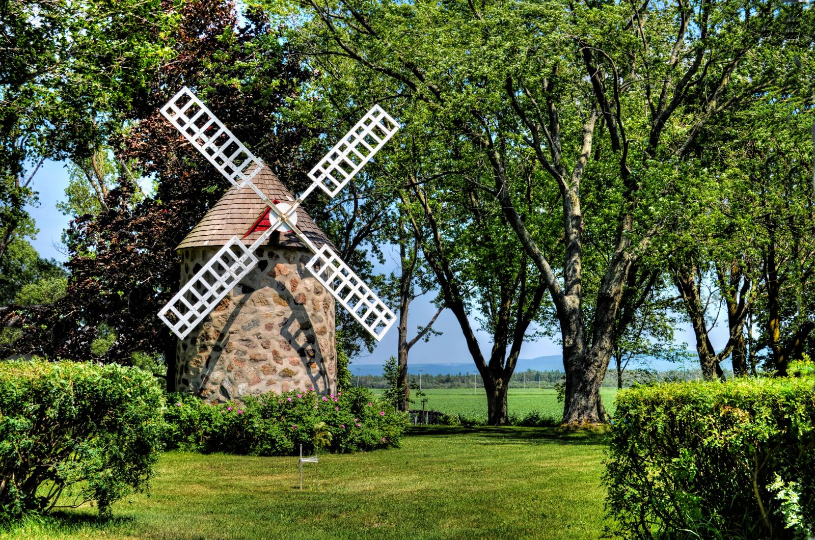 Nikon D5100 sample photo. Mill, former, pierre photography