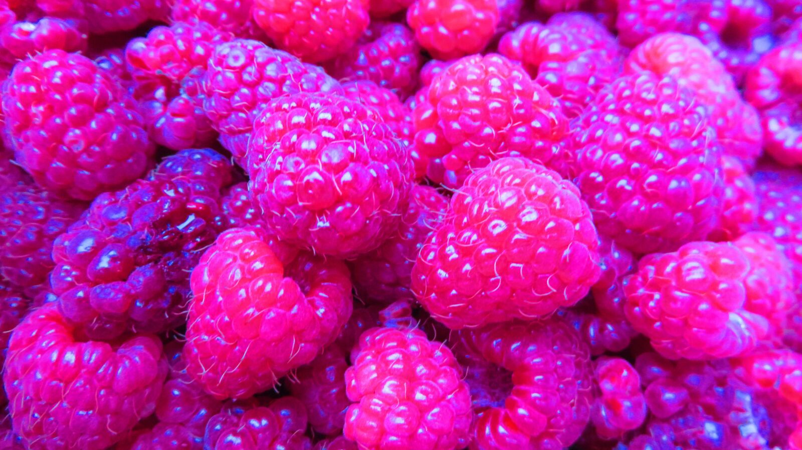 Canon PowerShot SX280 HS sample photo. Raspberries, red, fruit photography