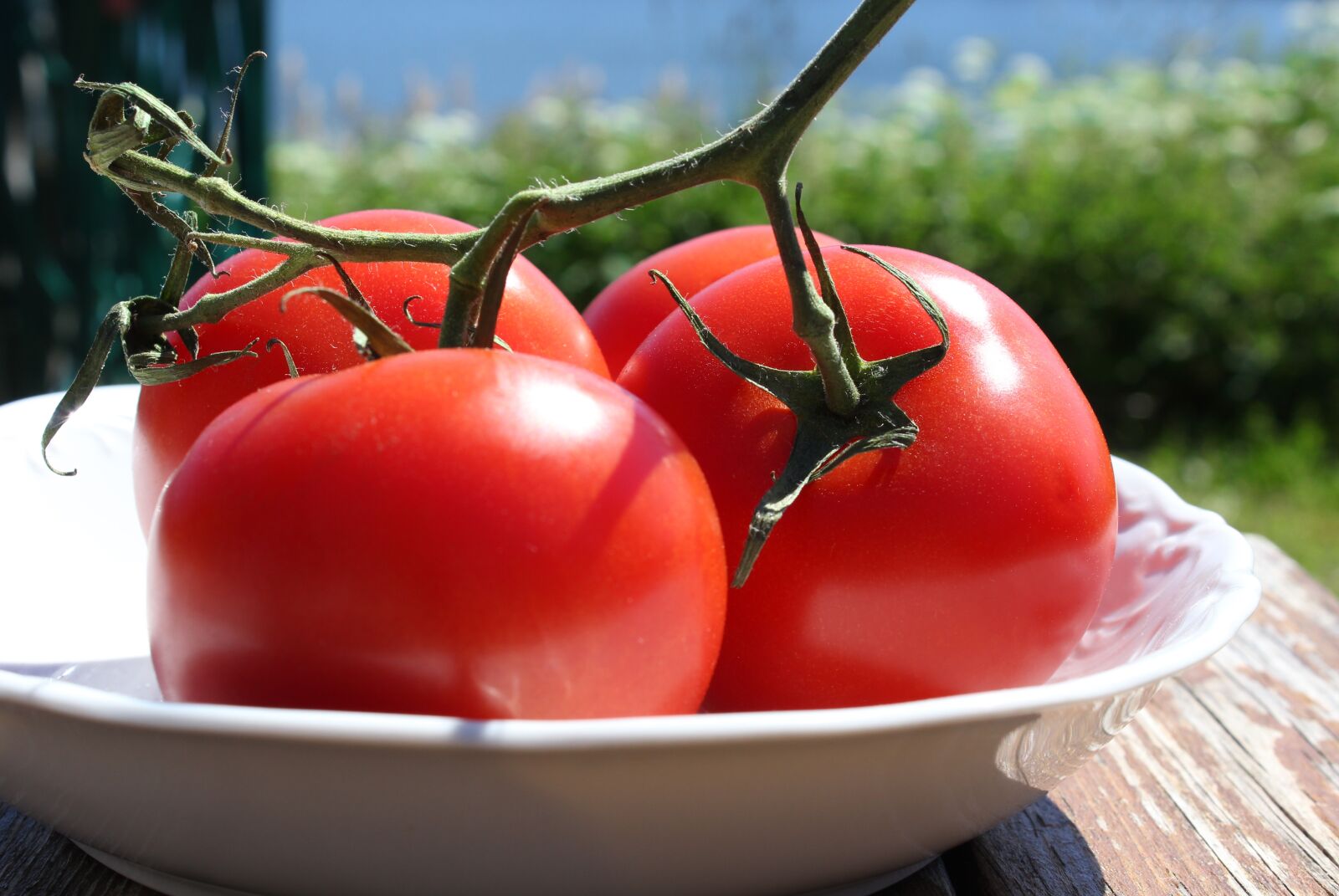 Canon EOS 1200D (EOS Rebel T5 / EOS Kiss X70 / EOS Hi) sample photo. Tomatoes, food, health day photography